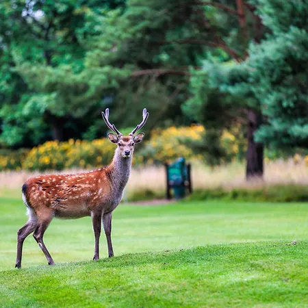 Hotel And Golf Tulfarris