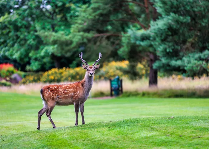 Hotel And Golf Tulfarris