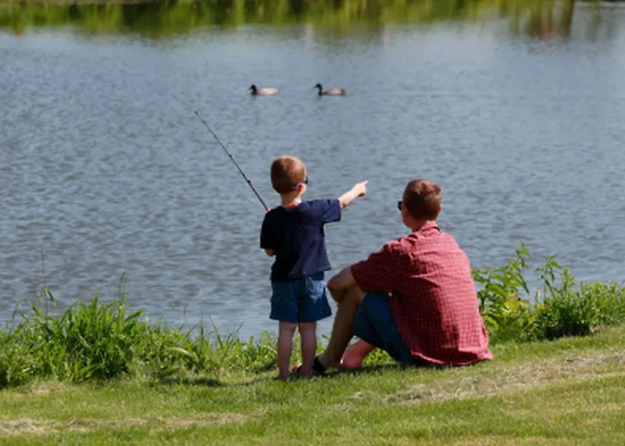 And Golf タルファリス